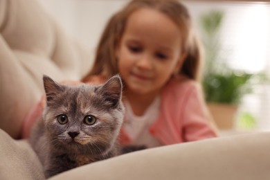 Photo of Cute little girl with kitten on sofa at home, closeup. Childhood pet