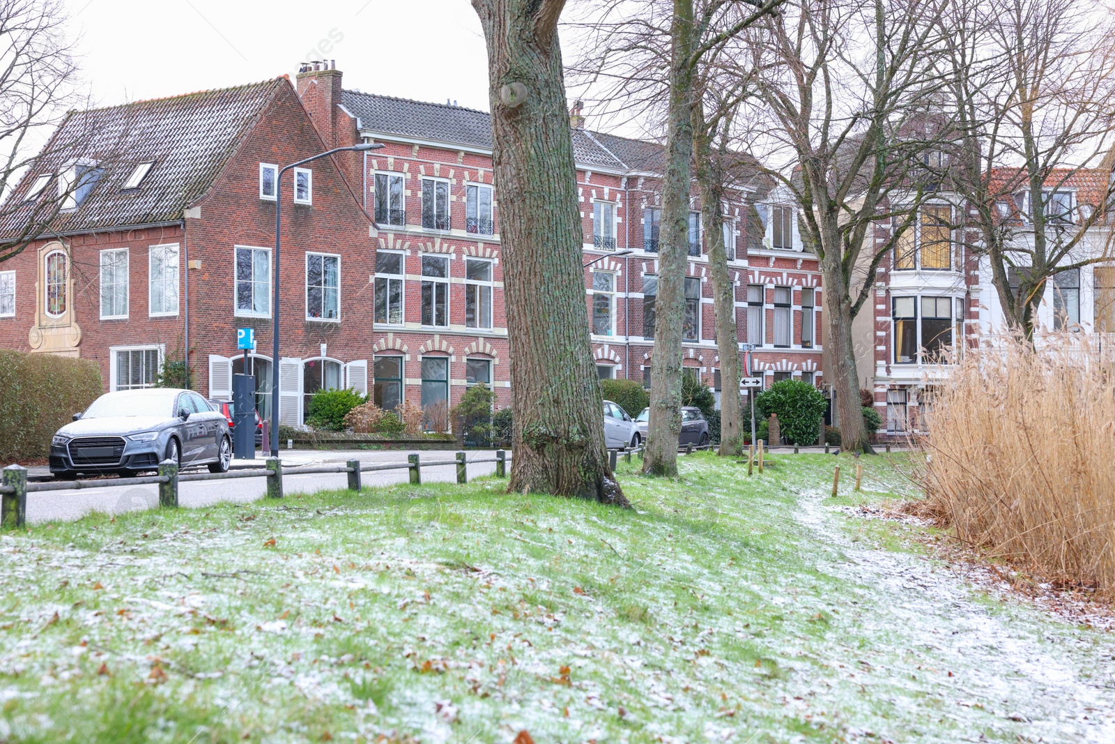 Photo of Picturesque view of buildings and trees in city on winter day