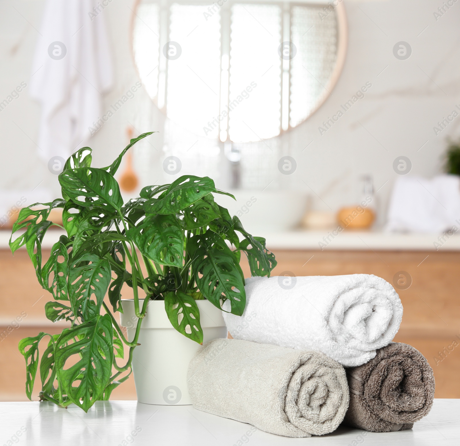 Image of Fresh towels and houseplant on white table in bathroom