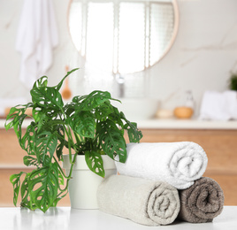 Image of Fresh towels and houseplant on white table in bathroom