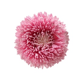 Photo of Beautiful pink aster isolated on white, top view.  Autumn flower