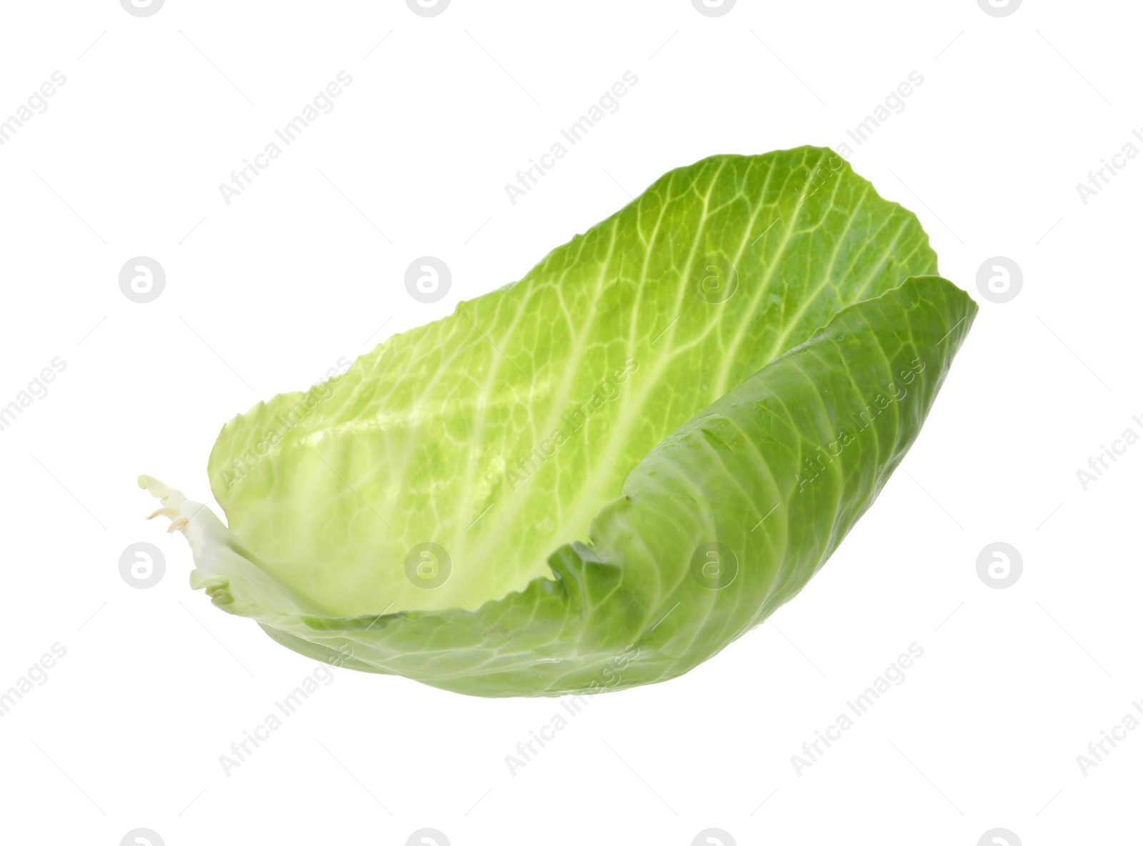 Photo of Leaf of fresh ripe cabbage isolated on white