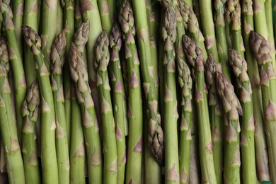 Photo of Fresh raw asparagus as background, top view