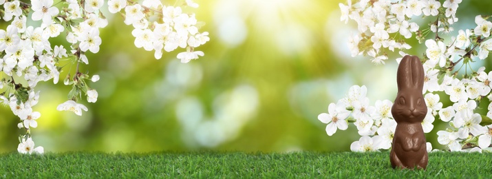 Chocolate bunny on green grass outdoors, space for text. Easter celebration