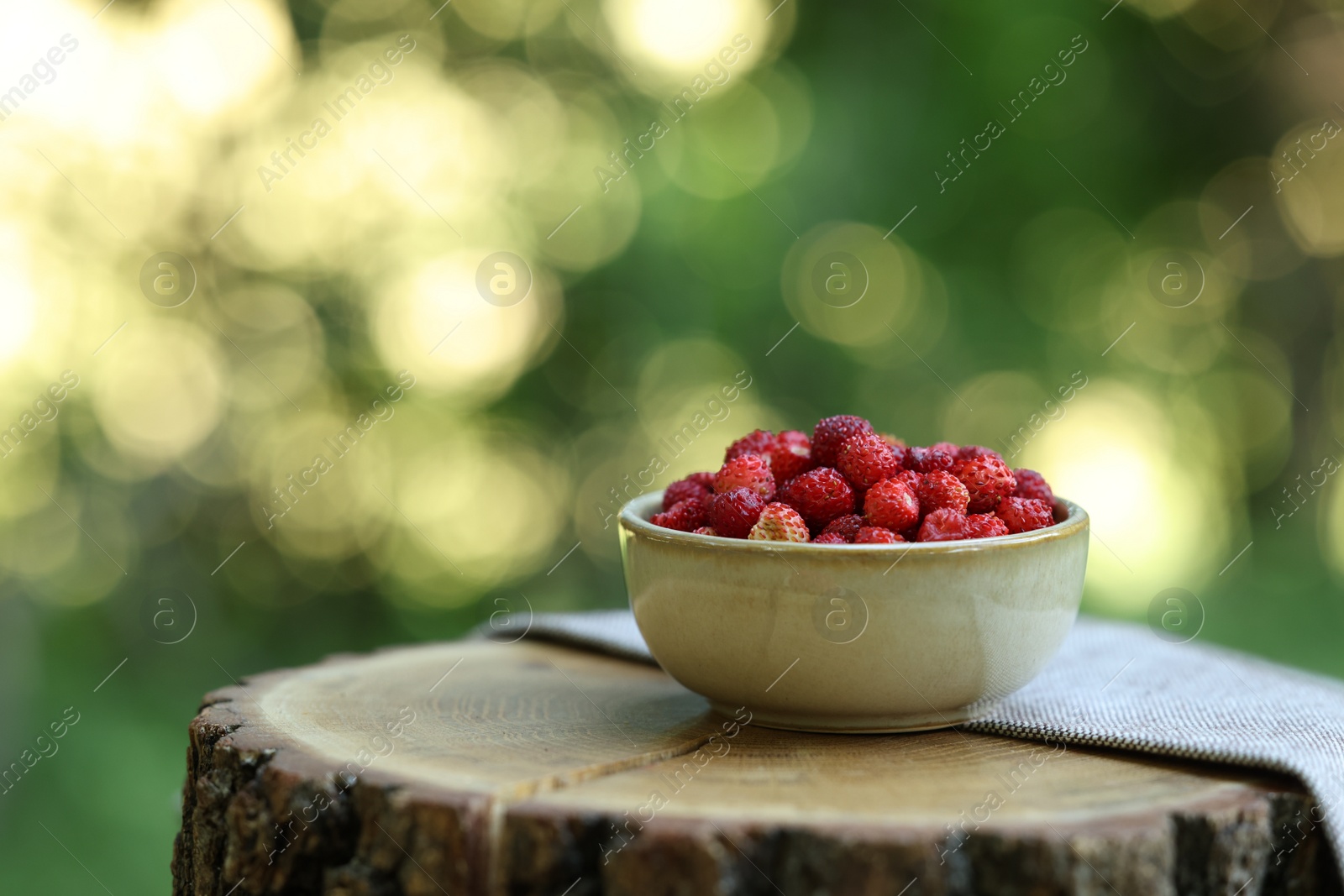 Photo of Bowl of tasty wild strawberries on wooden stump against blurred green background. Space for text