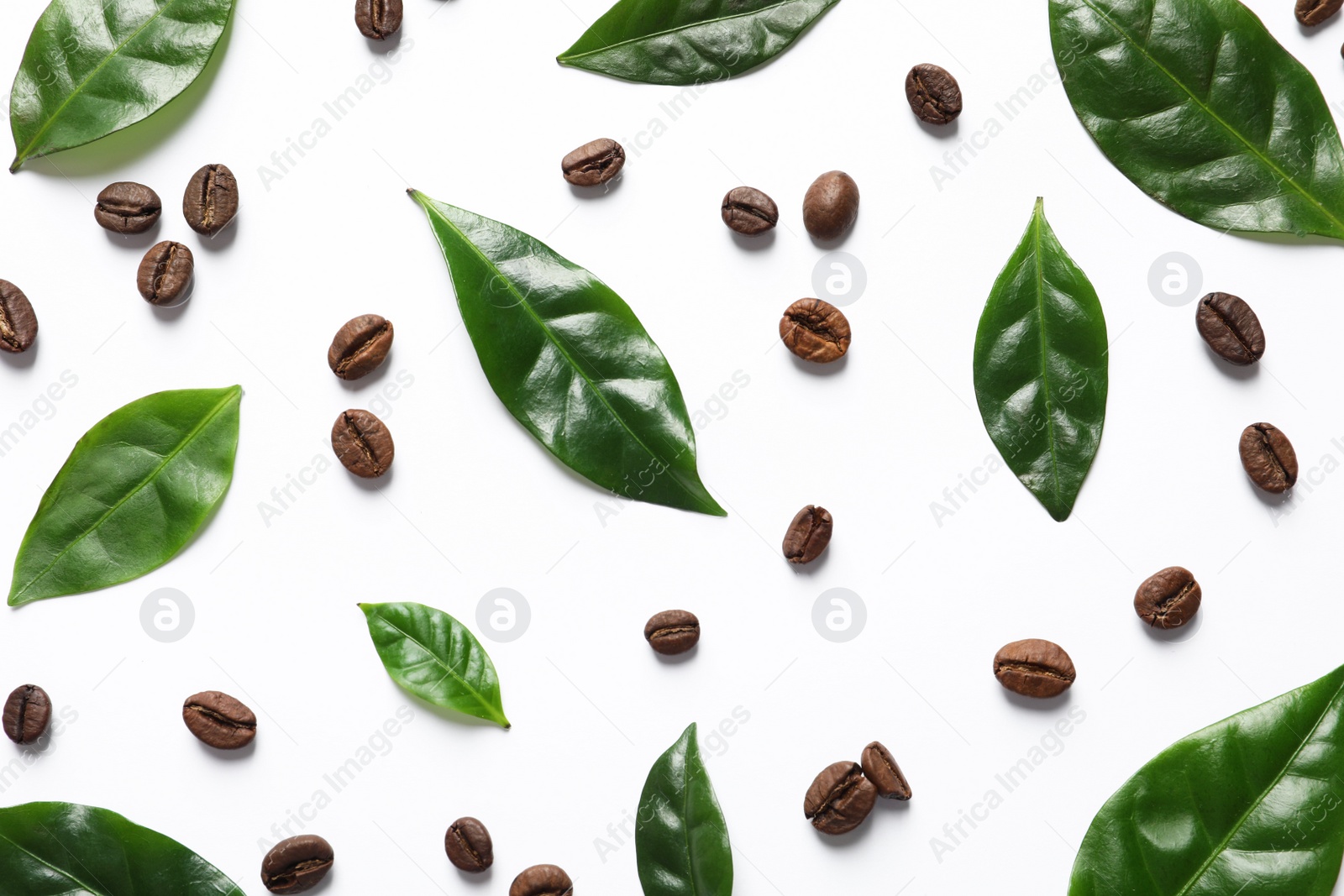 Photo of Fresh green coffee leaves and beans on white background, top view