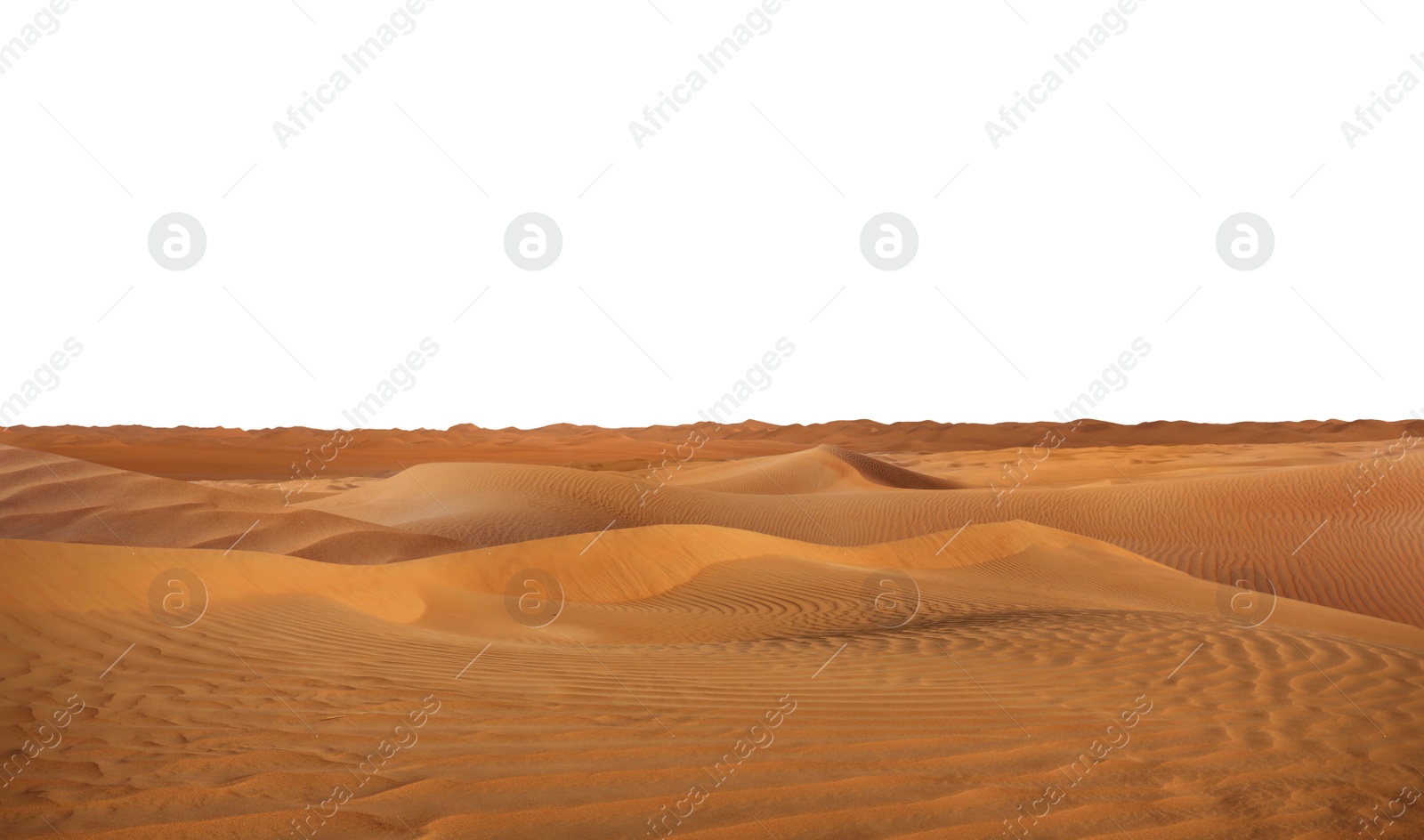 Image of Sand dunes on white background. Wild desert 