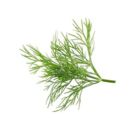 Photo of Sprig of fresh dill isolated on white, top view