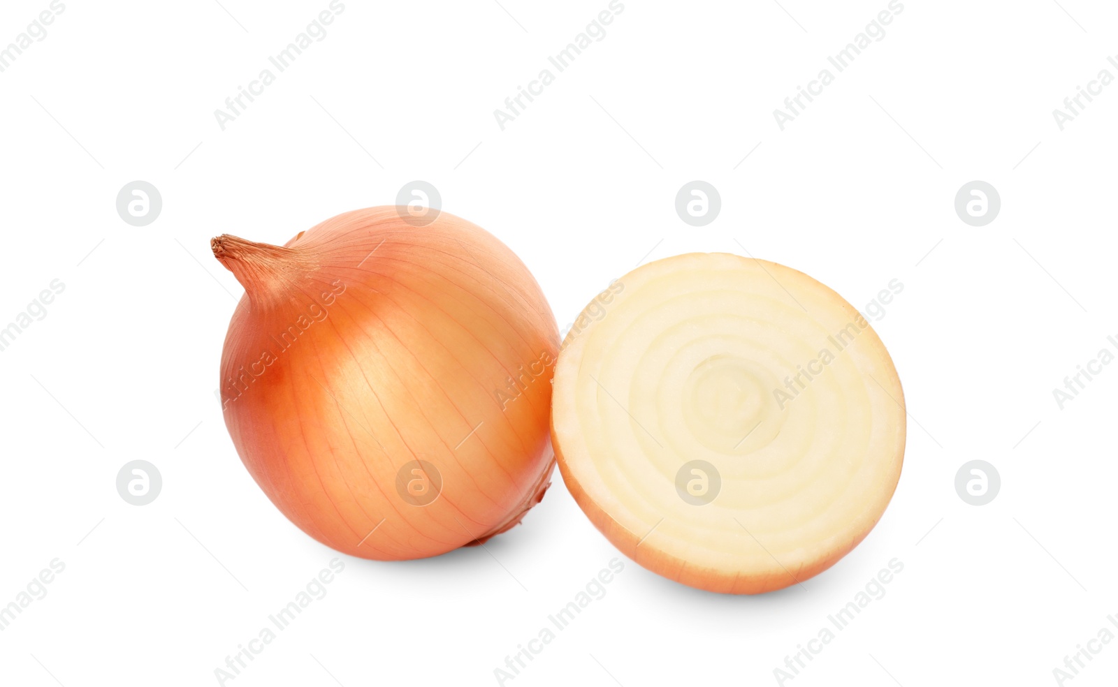 Photo of Whole and cut onions on white background