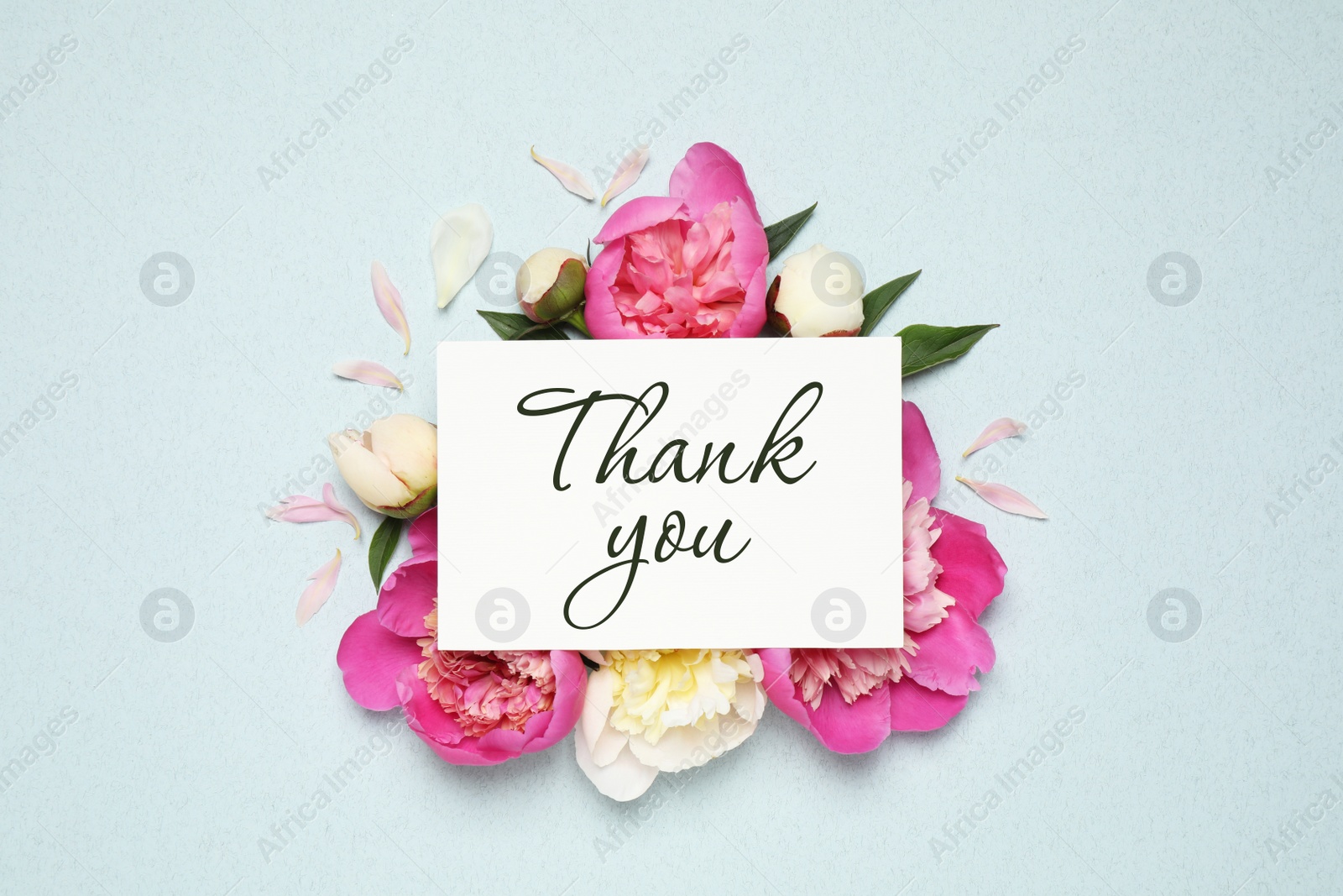 Image of Beautiful peonies and card with phrase Thank You on light blue background, flat lay