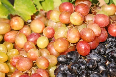 Photo of Fresh ripe juicy grapes as background, closeup