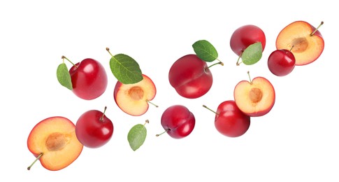 Image of Delicious ripe cherry plums with leaves falling isolated on white