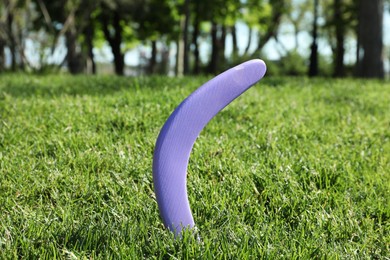 Photo of Violet wooden boomerang in green grass outdoors