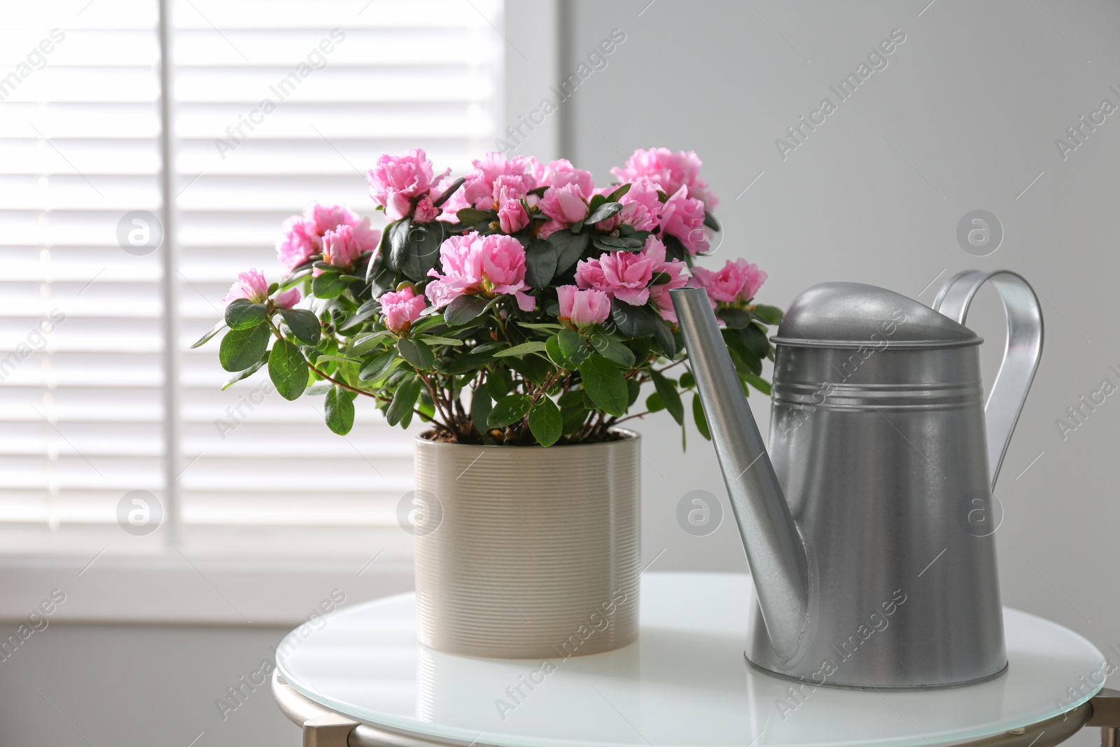 Photo of Beautiful Azalea flower in plant pot and watering can on white table indoors. House decor