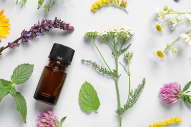 Photo of Bottle of essential oil, different herbs and flowers on white background, flat lay