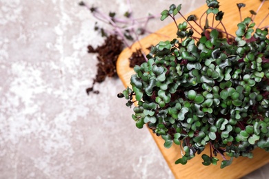 Photo of Fresh organic microgreen on light grey table, flat lay. Space for text
