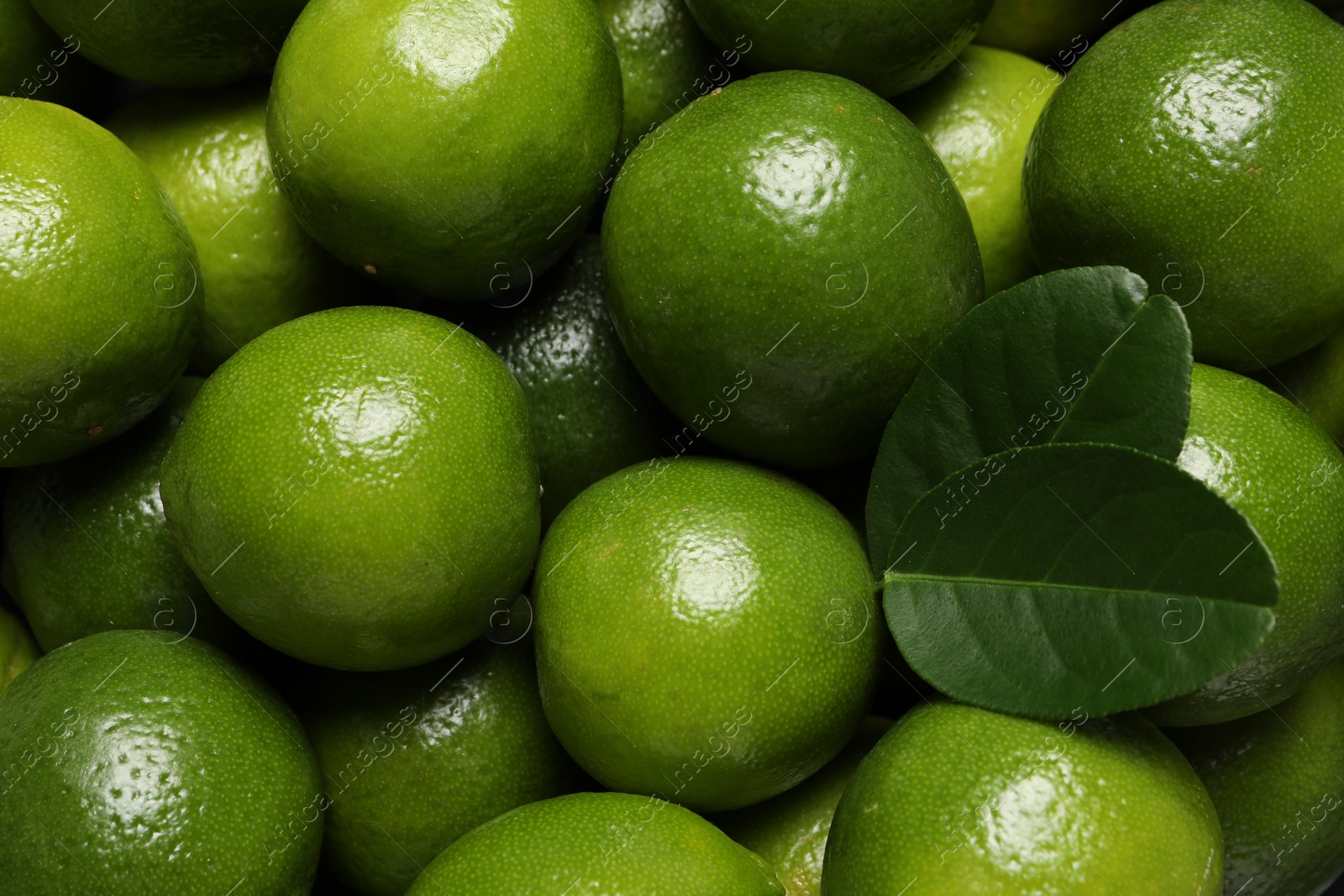 Photo of Fresh ripe limes and leaves as background, top view