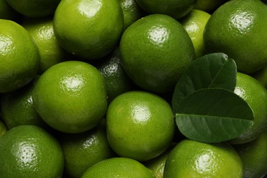 Photo of Fresh ripe limes and leaves as background, top view