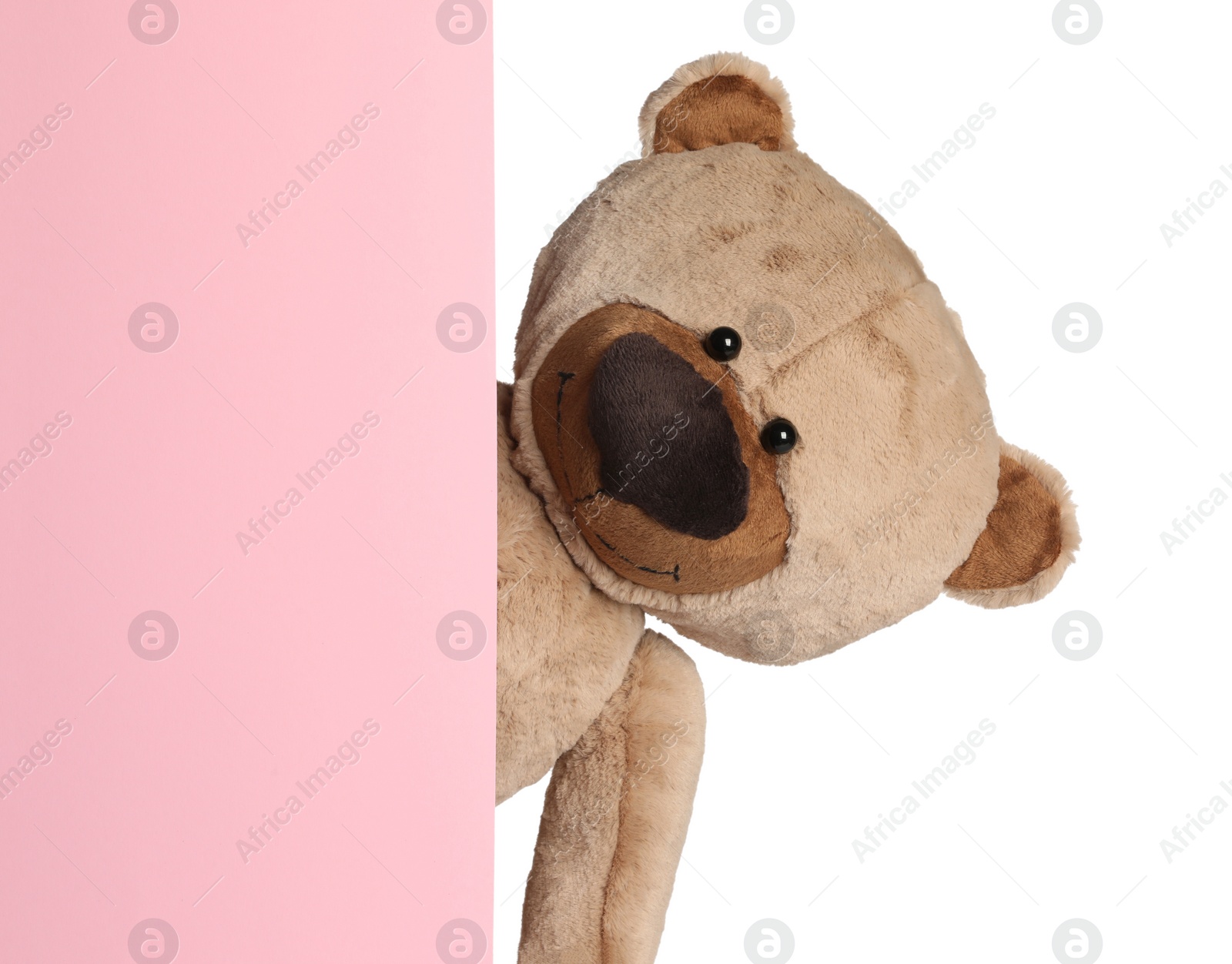 Photo of Cute teddy bear peeking out of blank card on white background