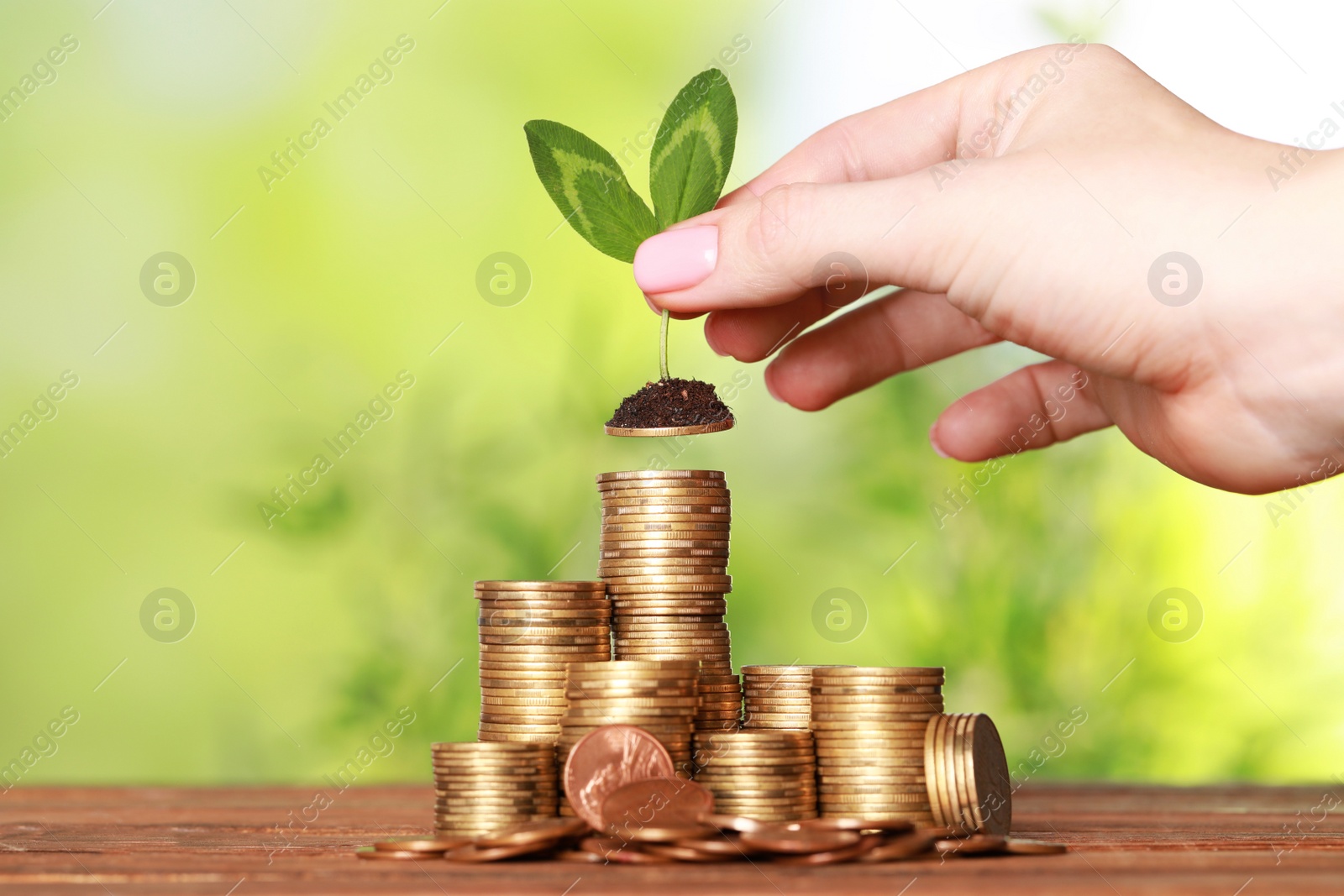 Photo of Woman putting coin with green sprout onto stack at wooden table against blurred background, closeup. Investment concept