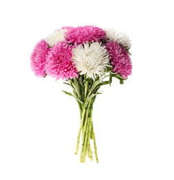 Bouquet of beautiful asters isolated on white.  Autumn flowers