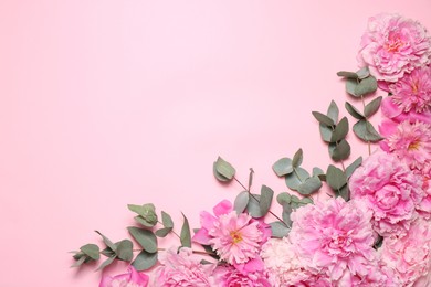 Beautiful peony flowers and eucalyptus leaves on pink background, flat lay. Space for text