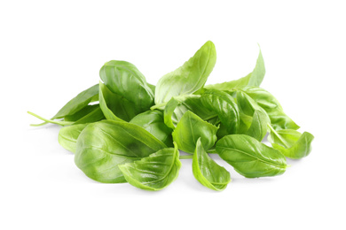 Pile of fresh basil leaves isolated on white