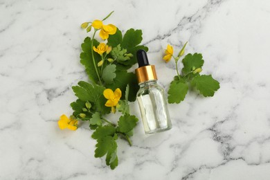 Bottle of natural celandine oil and flowers on white marble table, flat lay