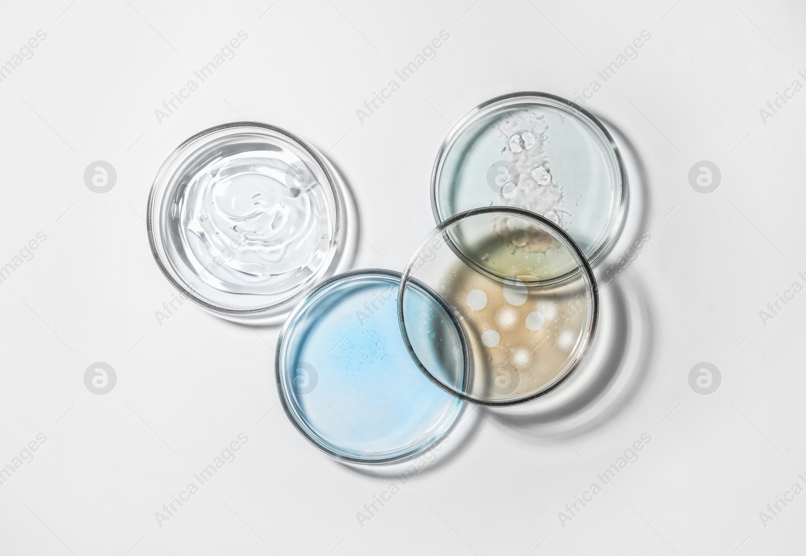 Photo of Petri dishes with color liquids on white background, flat lay