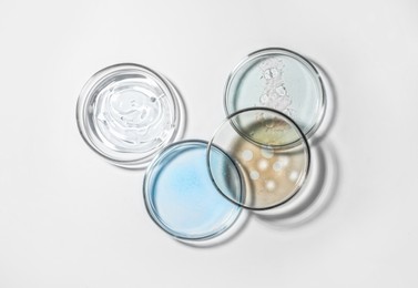 Petri dishes with color liquids on white background, flat lay