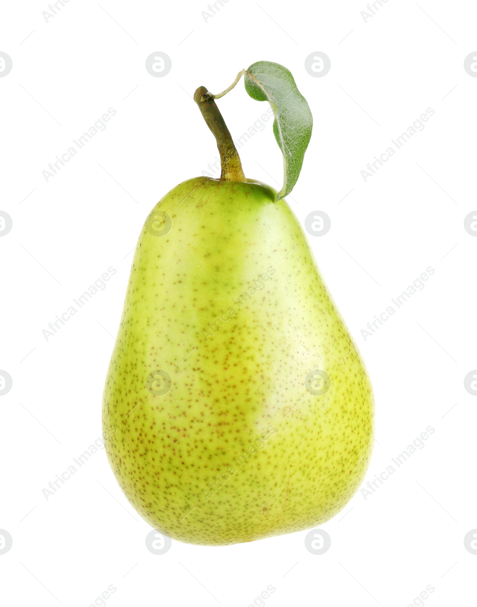 Photo of One ripe pear with leaf on white background