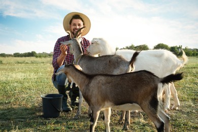 Man with goats at farm. Animal husbandry