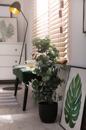 Photo of Stylish room interior with green eucalyptus tree, floral painting and bench