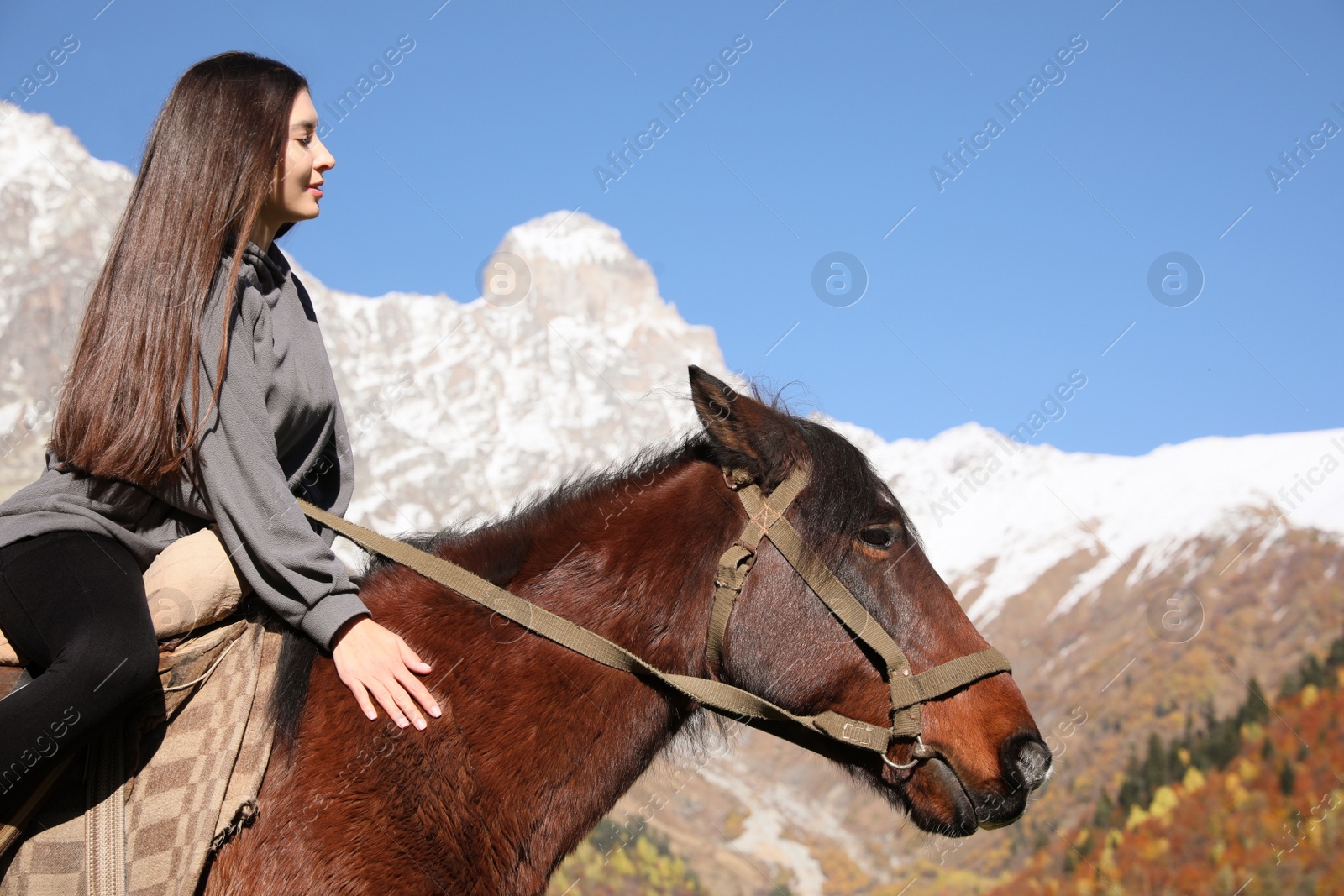 Photo of Young woman riding horse in mountains on sunny day. Beautiful pet