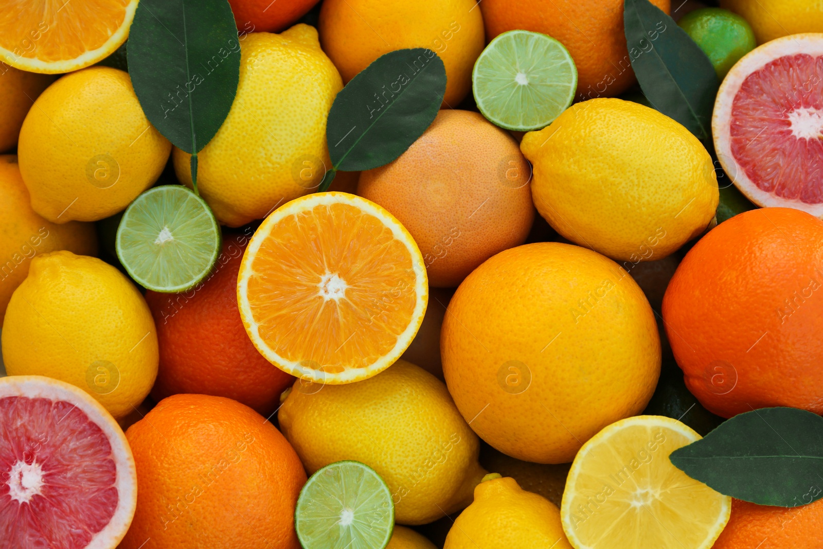 Photo of Many different whole and cut citrus fruits as background, top view