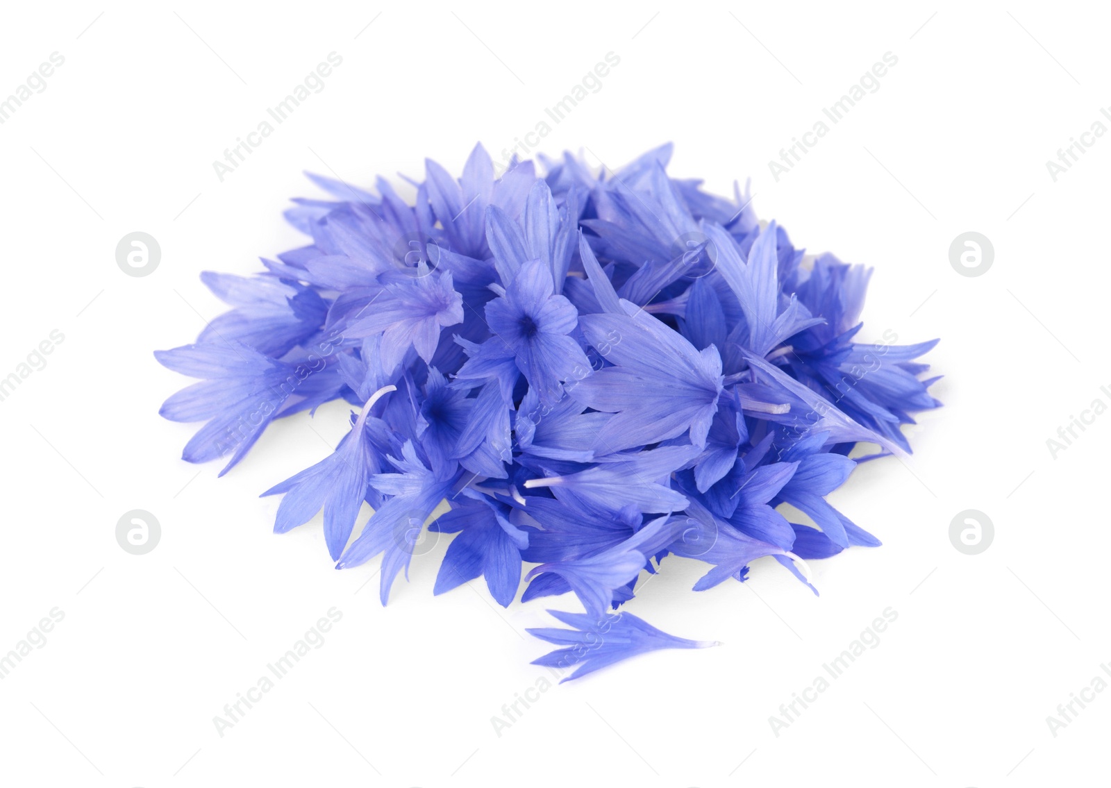 Photo of Heap of beautiful cornflower petals isolated on white