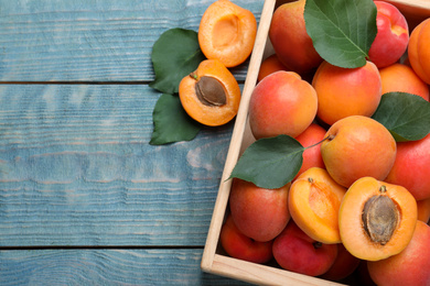 Photo of Delicious fresh ripe apricots on blue wooden table, flat lay. Space for text