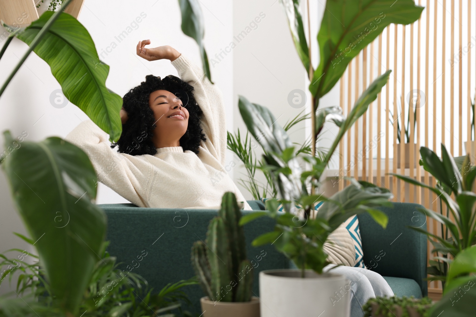 Photo of Woman relaxing on sofa surrounded by beautiful houseplants at home