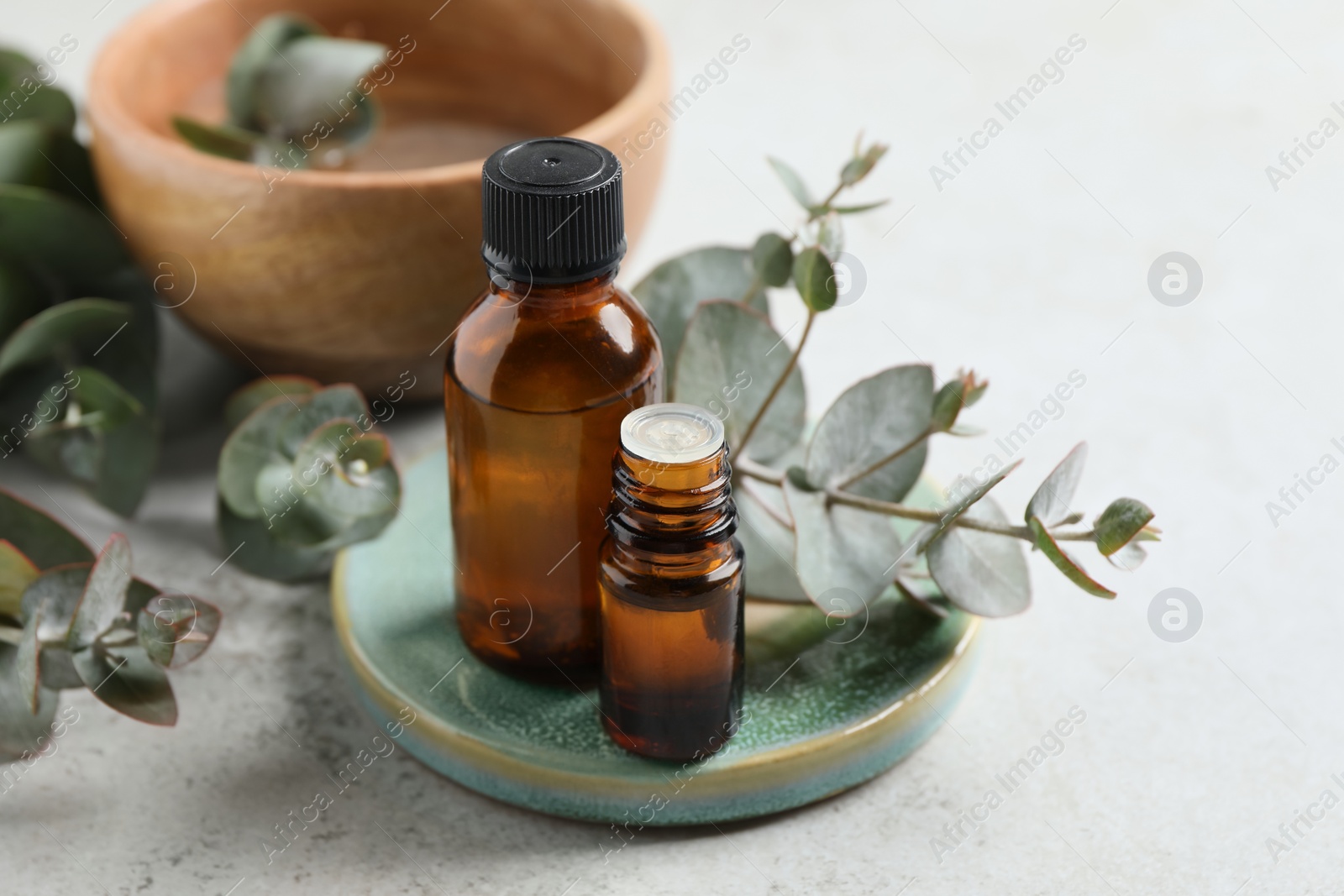 Photo of Bottles of eucalyptus essential oil and plant branches on light grey table