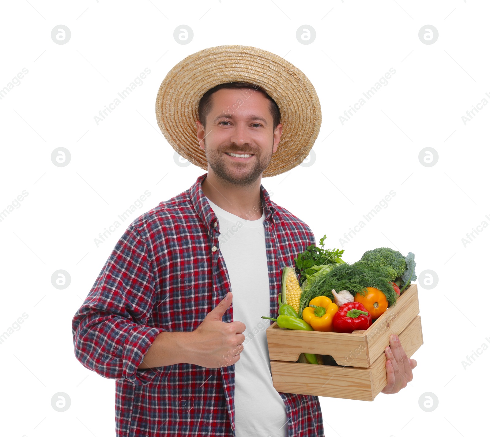 Photo of Harvesting season. Happy farmer holding wooden crate with vegetables and showing thumb up on white background