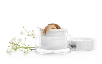 Snail in jar with cream and flowers isolated on white