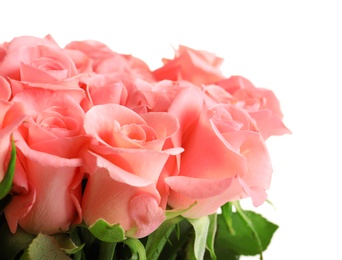 Bouquet of beautiful roses on white background