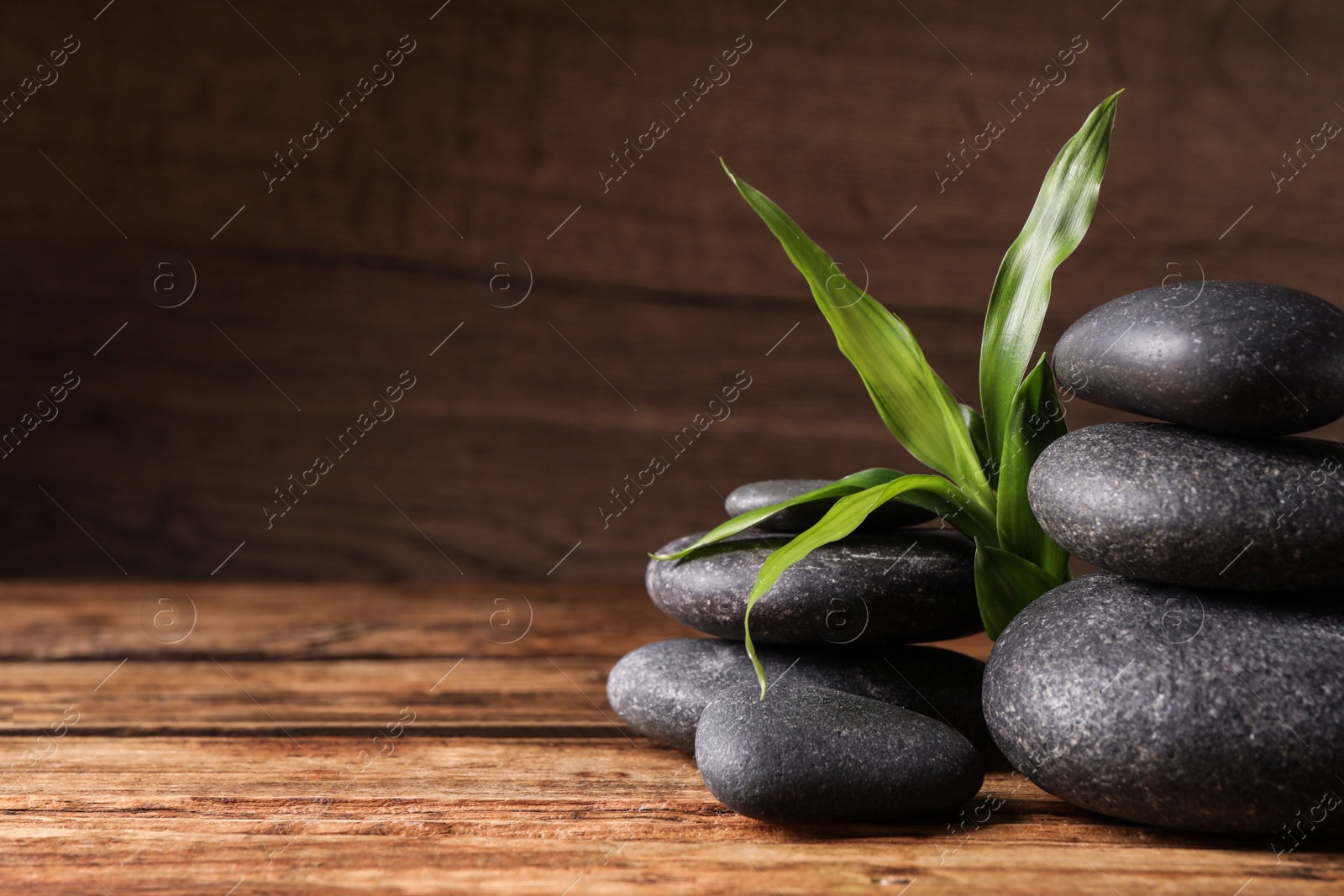 Photo of Spa stones and bamboo sprout on wooden table, space for text