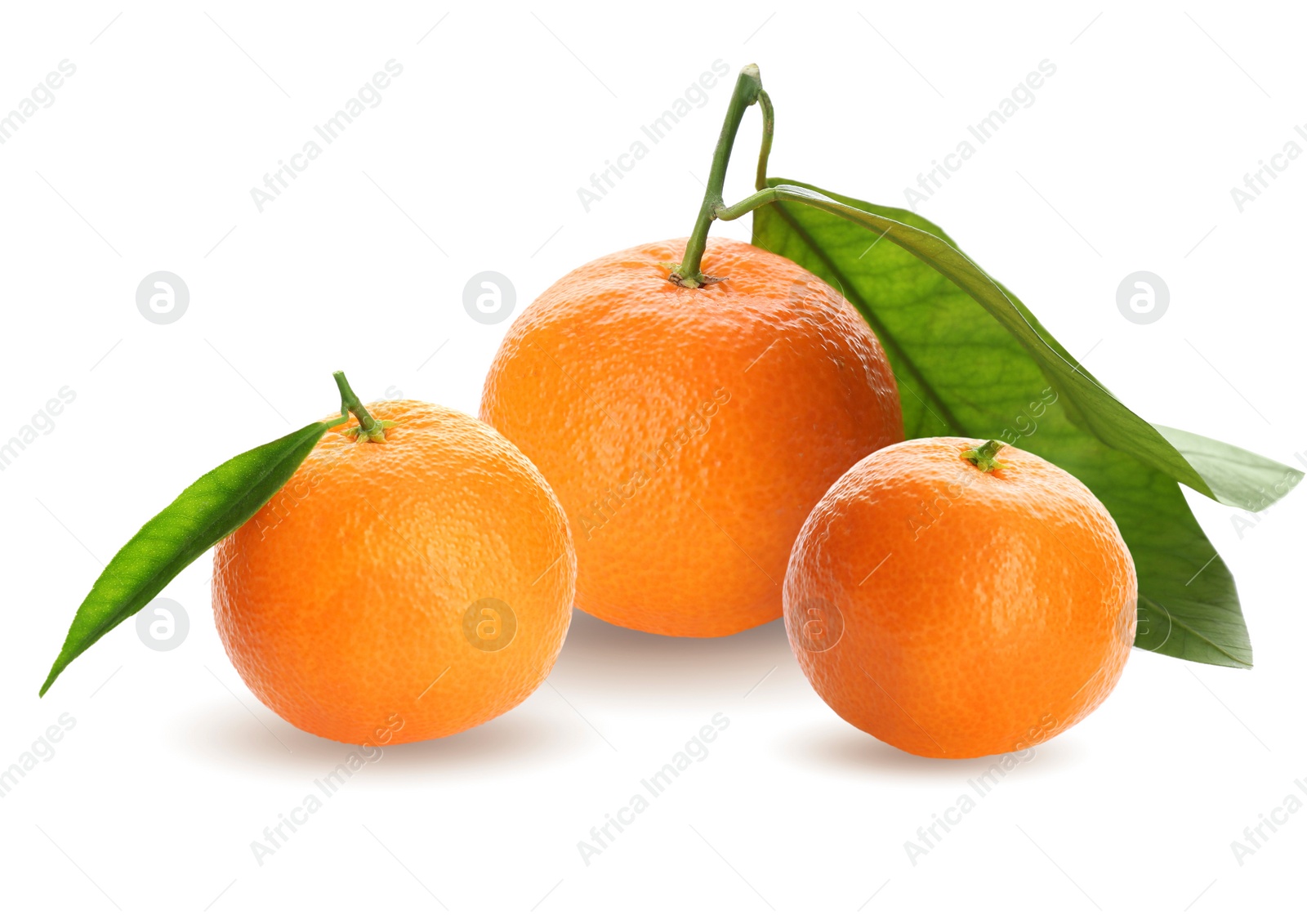 Image of Tasty ripe tangerines and green leaves on white background