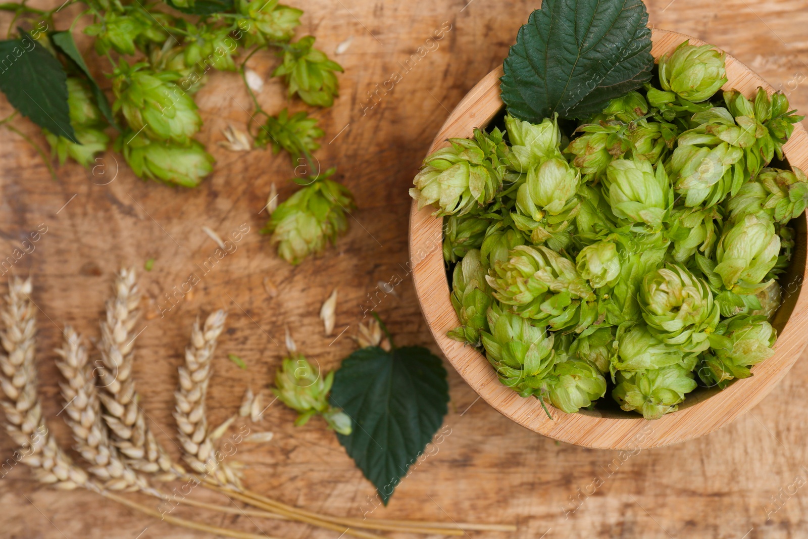 Photo of Fresh green hops and ears of wheat on wooden table, flat lay