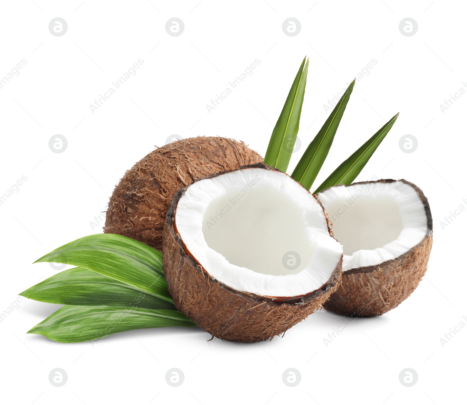 Tasty ripe coconuts and green leaves on white background Image of Tasty ripe coconuts and green leaves on white background