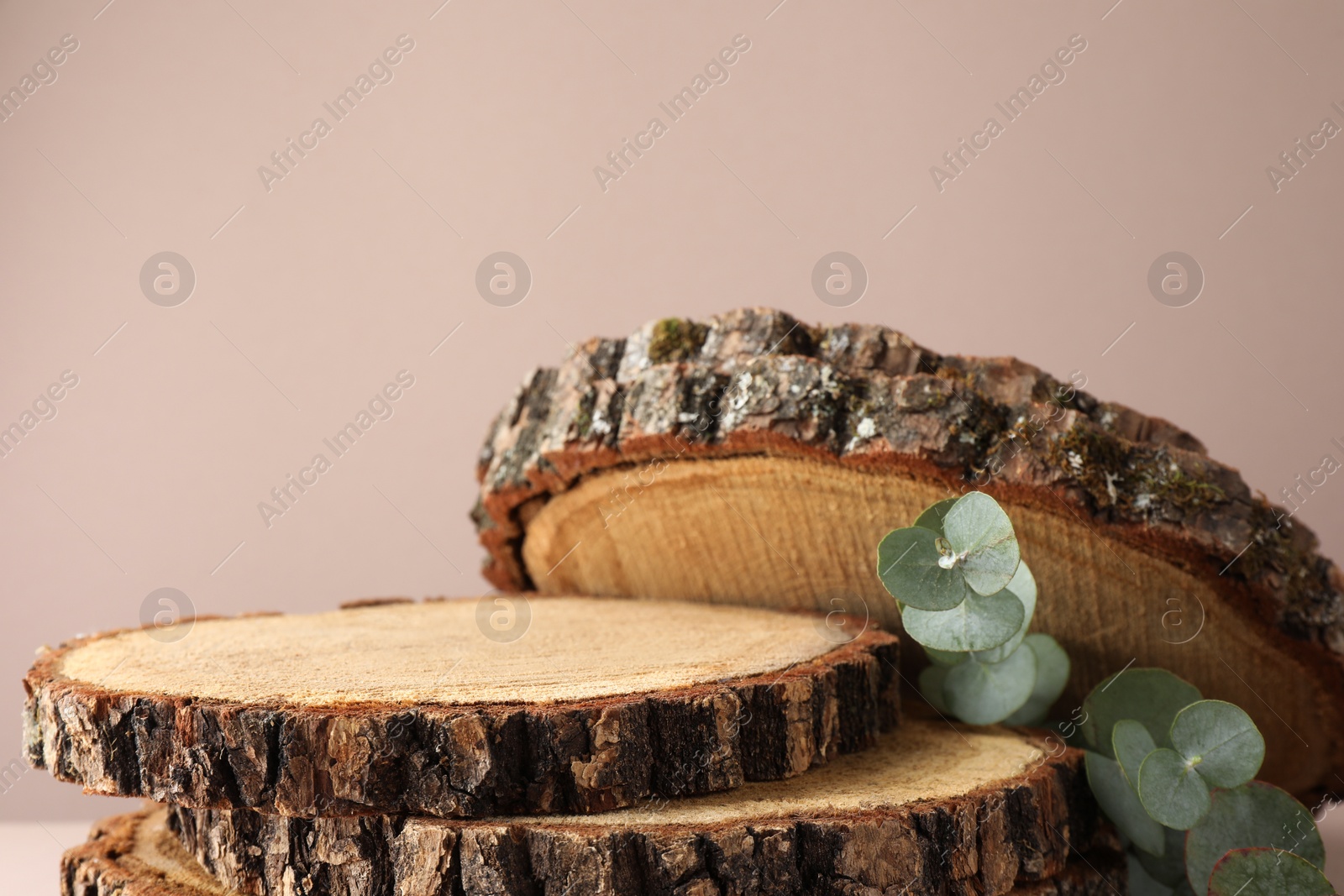 Photo of Presentation for product. Wooden stumps and eucalyptus branches on beige background