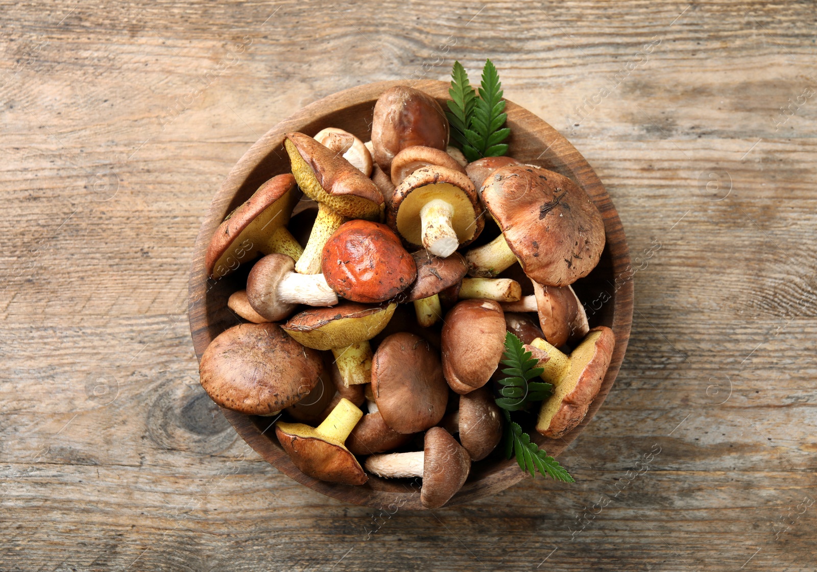 Photo of Bowl with different mushrooms on wooden table, top view