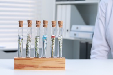 Test tubes with different plants on white table in laboratory. Space for text