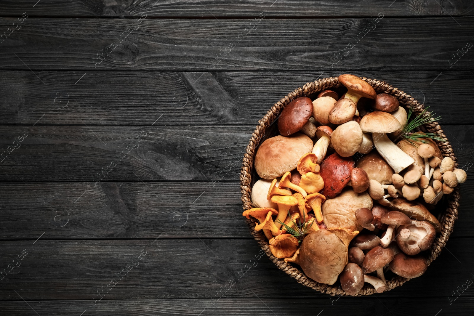 Photo of Different fresh wild mushrooms on black wooden table, top view. Space for text